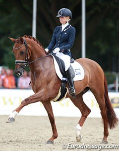 Kirsten Brouwer and Dancer at the 2014 World Championships for Young Dressage Horses in Verden, Germany :: Photo © Astrid Appels