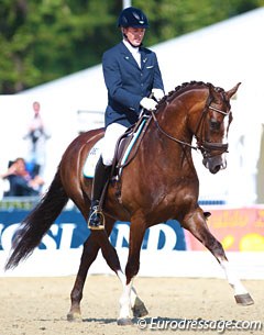Carl Cuypers and Bilan at the 2014 World Young Horse Championships :: Photo © Astrid Appels