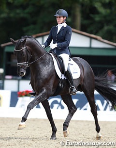 Gerdine Maree and Dream Boy at the 2014 World Young Horse Championships in Verden :: Photo © Astrid Appels