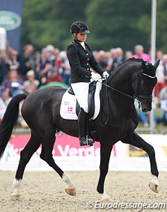 The Danish warmblood Sezuan will be back to defend his 2014 and 2015 World Champion's title in Ermelo :: Photo © Astrid Appels
