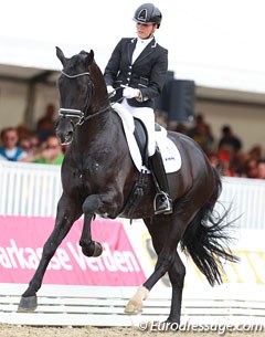 Emmelie Scholtens on the beautiful KWPN stallion Desperado. Two flying changes were totally broken today and it made them drop to a 14th place