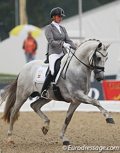 Emmelie Scholtens on the PRE stallion Genciano BCN (by Datil VII). He's a big mover in trot but needed to show more bending in the body. The rhythm in walk was underwhelming but the canter uphill.