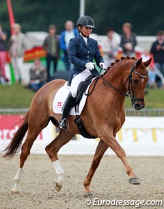 Danish Trakehner Litvinenko Sjaelstofte :: Photo © Astrid Appels