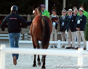 The ground jury with FEI veterinary support inspecting the horses