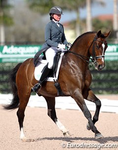 Anne Cizadlo on the Westfalian bred Obsession II 