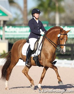 Kerrigan Gluch on Kimberly van Kampen's PRE Lentisco XVIII
