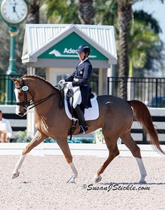 Heather Mason and Zar at the 2014 CDI-W Wellington :: Photo © Sue Stickle