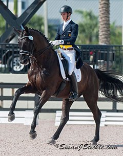 Juan Matute Guimon and Don Diego at the 2014 CDI-W Wellington :: Photo © Sue Stickle