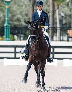 Juan Matute Guimon and Don Diego at the 2014 CDI-W Wellington :: Photo © Sue Stickle