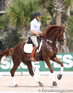 Number one ranked U.S. Developing Grand Prix horse Donatus (by Don Schufro x Caramel) :: Photo © Astrid Appels