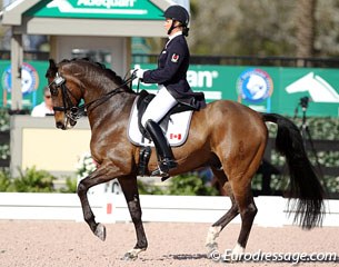 Karen Pavicic and Don Daquiri (by Don Cardinale) at the 2014 CDIO Wellington :: Photo © Astrid Appels