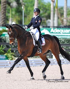 Belinda Trussell and Anton win the Grand Prix Special at the 2014 CDI-W Wellington :: Photo © Sue Stickle