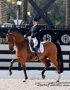 Tinne Vilhelmson and Divertimento at the 2014 CDI-W Wellington :: Photo © Sue Stickle