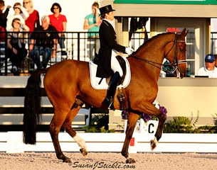 Tinne Vilhelmson and Divertimento at the 2014 CDI-W Wellington :: Photo © Sue Stickle