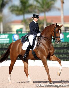 Lisa Wilcox and Galant top the Intermediaire I at the 2014 CDIO Wellington :: Photo © Astrid Appels