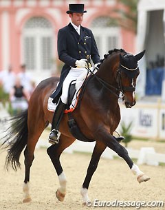 Thomas Wagner and Very Keen at the 2014 CDI Wiesbaden :: Photo © Astrid Appels