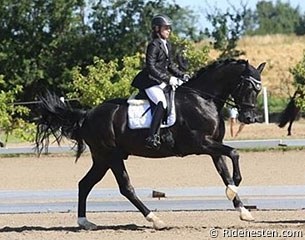 Laila Wittendorff and Freestyler :: Photo © Ridehesten