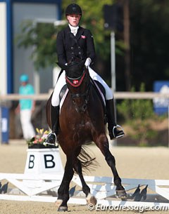 Sille Engermann on Darius