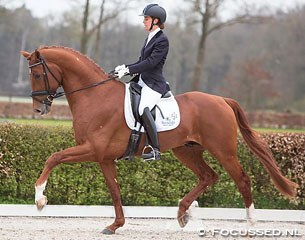 Natascha Bernoski on Fidelity at the first 2015 Dutch WCYH Selection trial in Ermelo :: Photo © Focussed.nl