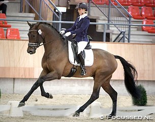 Mirelle van Kemenade on Ferdinand at the Ermelo leg of the 2015-2016 KWPN Stallion competition :: Photo © Focussed