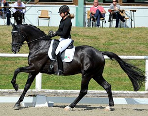 Dorothee Schneider on Evelyn Haim-Swarovski's Zirkon