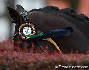 The Future Champions CDIO-PJYR Hagen ribbon floating in the wind