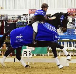 Becky Moody and Carinsio at the 2015 British Indoor Championships