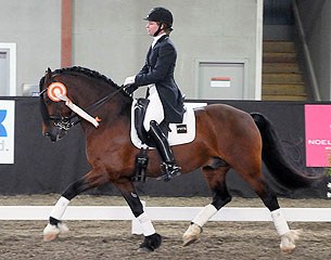 Jessica Wisdom and North Forks Cardi at the 2015 CDI Langley :: Photo © Totem