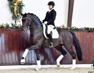 Kira Wulferding on Dressage Performance Centre Lodbergen's Oldenburg licensing champion For Romance :: Photo © Tanja Becker