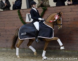Sara Aagaard Hyrm and FB Gangster at the 2015 Ecco Cup Finals :: Photo © Ridehesten