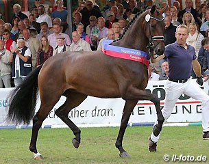 Johannes Westendarp running the lap of honour with his champion mare Fiesta Danza (by Furstenball x Weltmeyer x Ludendorff) :: Photo © LL-foto