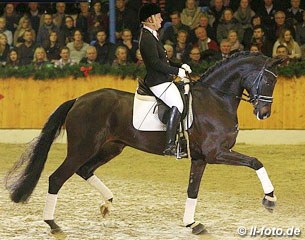 Anja Engelbart on Fasine at the Paul Schockemohle stallion show in February 2015 :: Photo © LL-foto