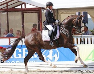 Blickfang HC at the 2015 Hanoverian Young Horse Championships :: Photo © LL-foto