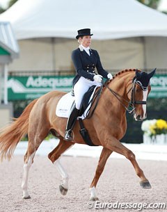 Patricia Koschel and Leuchtfeuer DE competing in Wellington :: Photo © Astrid Appels