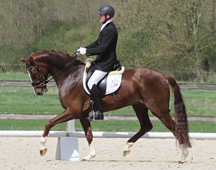 Nick van Laer on Friendscout (by Floriscount x Don Vino)