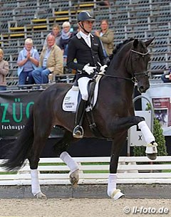 Lukas Fischer and Daytona Platinum at the 2016 Bundeschampionate :: Photo © LL-foto