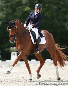 Rachel Bastady on Fandango d'Arx at the 2016 CDIO Compiegne :: Photo © Astrid Appels