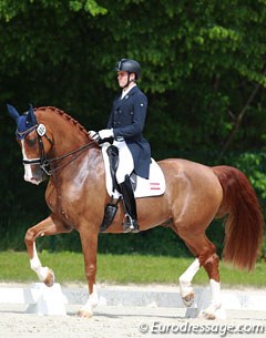 Pablo Gomez Molina and Tarpan at the 2016 CDIO Compiègne :: Photo © Astrid Appels