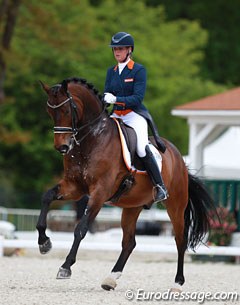 Dutch Danielle Heijkoop made her Grand Prix CDI debut on her 10-year old Badari. The bay is an eye catcher but he is still green at Grand Prix, often creeping behind the vertical as he still works on carrying himself