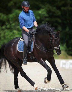 Tom Heylen schooling Jar of Ballmore at the 2016 CDIO Compiegne :: Photo © Astrid Appels