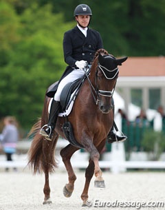 Laurens Vanderbeeken on Happy Pia van de Bergenhoeve at the 2016 CDIO Compiegne :: Photo © Astrid Appels