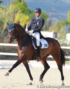 Capo Knight at the 2016 European Young Riders Championships in Oliva Nova, Spain :: Photo © Astrid Appels