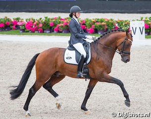 Kim Koolen and Guardian S at the Dutch selection trial for the 2016 World Young Horse Championships :: Photo © Digishots
