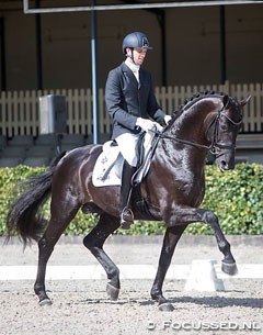 Benjamin Maljaars and Glamourdale at the final 2016 Dutch WCYH Selection trial in Ermelo :: Photo © Anniek van Schaik
