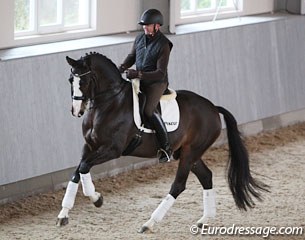 Hubertus Schmidt and Hedelunds Mefisto at the 2016 Global Dressage Forum in Hagen, Germany, in October :: Photo © Astrid Appels