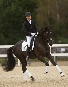 Ralf Kornprobst and Trakehner Licensing Champion Perpignan Noir :: Photo © Jutta Bauernschmitt