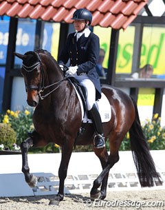 Australian Mary Hanna made her European CDI Grand Prix debut on her developing GP horse Boogie Woogie after campaigning him in Australia at that level at the CDi's Boneo and Werribee since January 2016.
