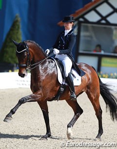 Delphine Meiresonne and Wipsy van 't Heihof were on great form. The very spooky Flemmingh offspring showed tremendous improvement in piaffe and passage and seems to be finally coming of age