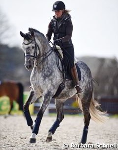 Kristina Moller on Pequignet (by Prinz K3 x Silvermoon). As a foal the grey Trakehner lost her dam three days after his birth and was raised by a pony mare.