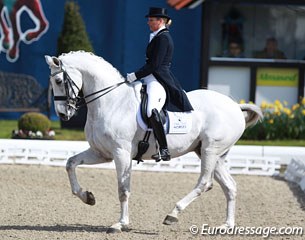 Danish Anne van Olst on her power house, grey gelding Zidhane (by Don Ruto x Negro)